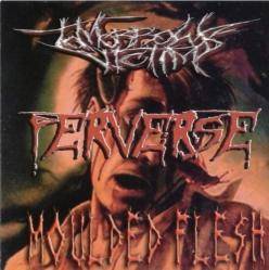 Moulded Flesh : A Darker Day Now Dawns... - Blast of Stench - Indulgence